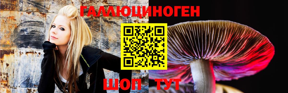 Псилоцибиновые грибы MAGIC MUSHROOMS  даркнет сайт  Вход с VPN  Муром  Галлюциногенные грибы GOLDEN TEACHER 