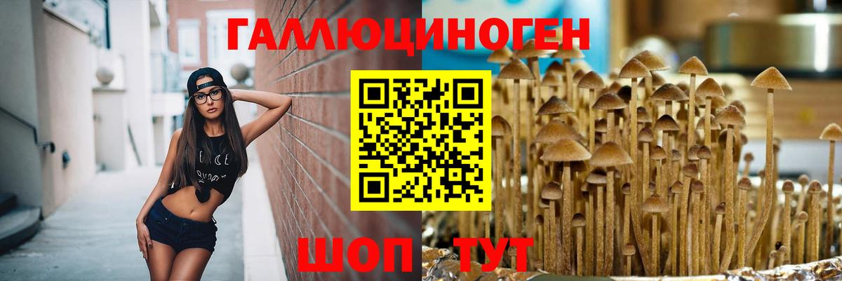 Галлюциногенные грибы Magic Shrooms Муром