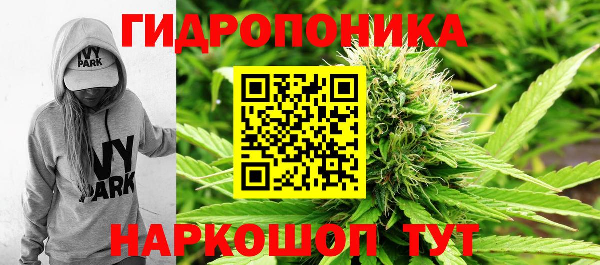 Бошки Шишки семена  Канабис White Widow  Конопля марихуана  Муром  Конопля планчик  Вход с VPN 